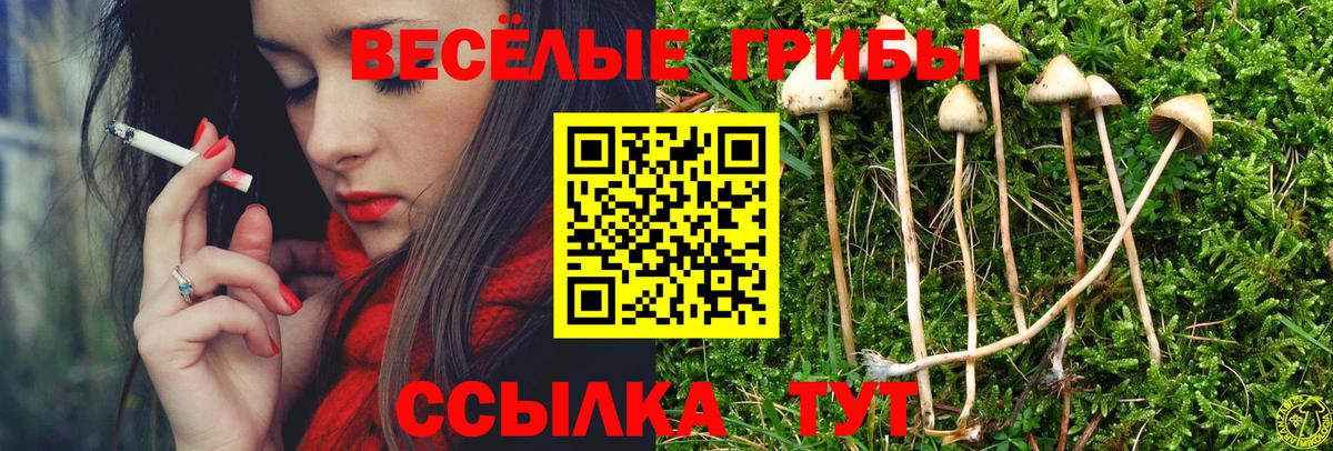 Псилоцибиновые грибы мицелий  Вход с VPN  Электрогорск 